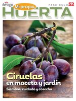 La Huerta en Casa